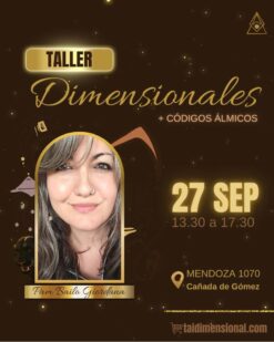 ⪺ Dimensionales con Pam ⪺