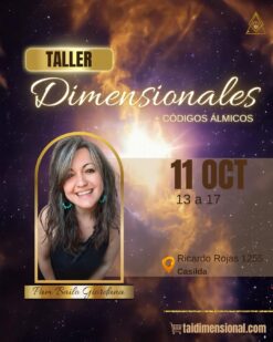 Dimensionales con Pam ⪺ CASILDA